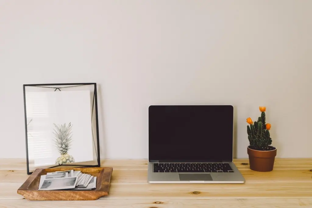 Digital Literacy Assessment: How To Measure And Improve Skills In 2026
